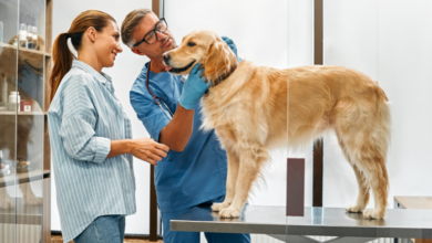 The Impact of Veterinary Stickers on Enhancing Your Clinic and Client Satisfaction