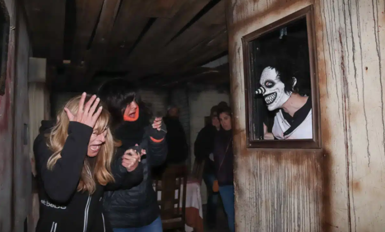 Exploring the Psychological Thrills: Why We Love the Scare of a Haunted House