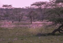 cosmic gateway exploration mission