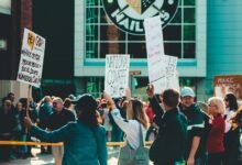 forum engagement analysis summary