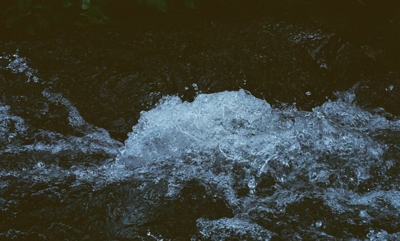 momentum edge conversion stream