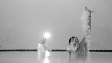 momentum performance analysis tool